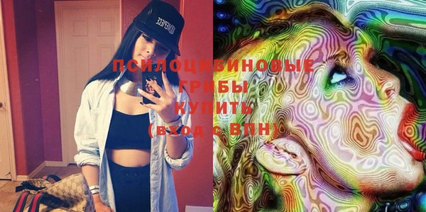 сатива Михайловск