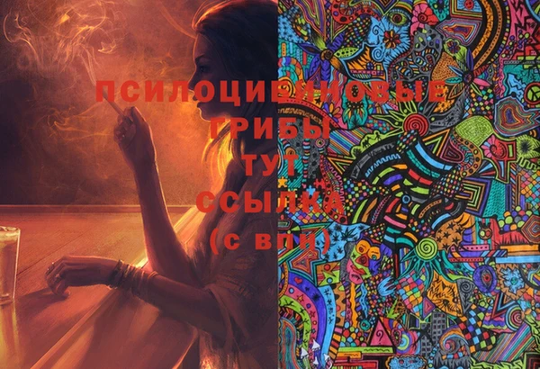 сатива Михайловск